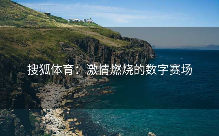 搜狐体育：激情燃烧的数字赛场