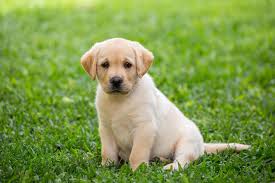 {name}