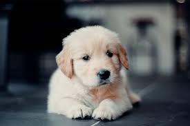 {name}