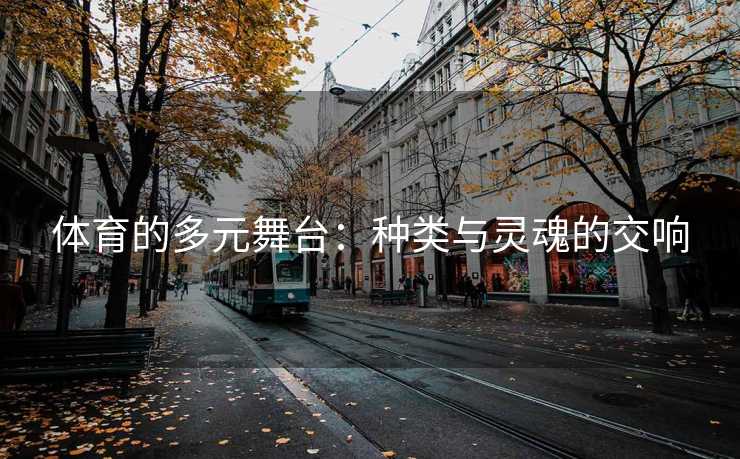 体育的多元舞台：种类与灵魂的交响