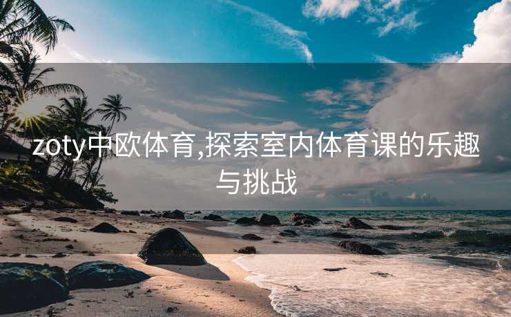 zoty中欧体育,探索室内体育课的乐趣与挑战
