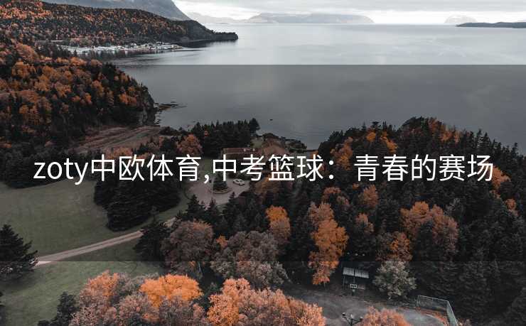 zoty中欧体育,中考篮球：青春的赛场