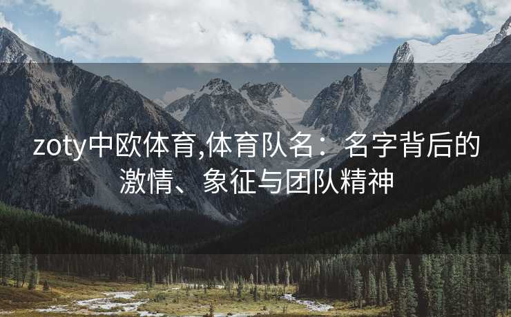 zoty中欧体育,体育队名：名字背后的激情、象征与团队精神