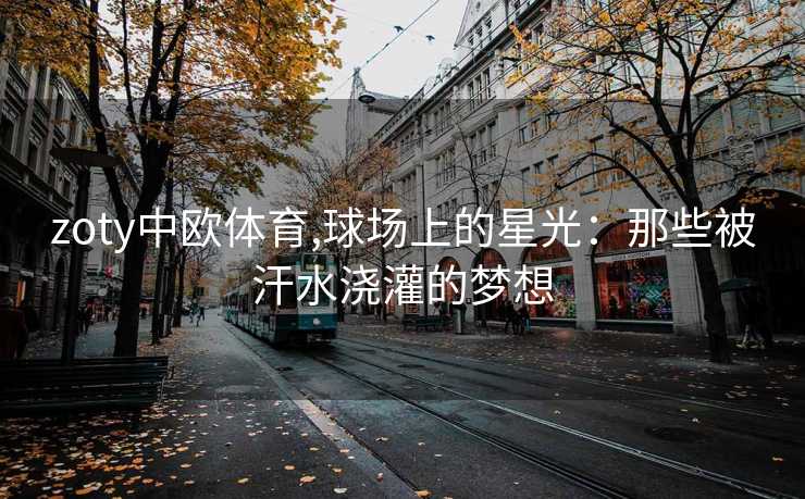 zoty中欧体育,球场上的星光：那些被汗水浇灌的梦想